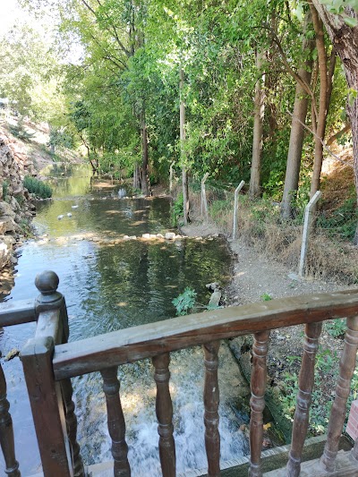 Cevizli Park Çay Bahçesi