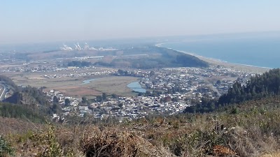 Photos of Forestal Arauco