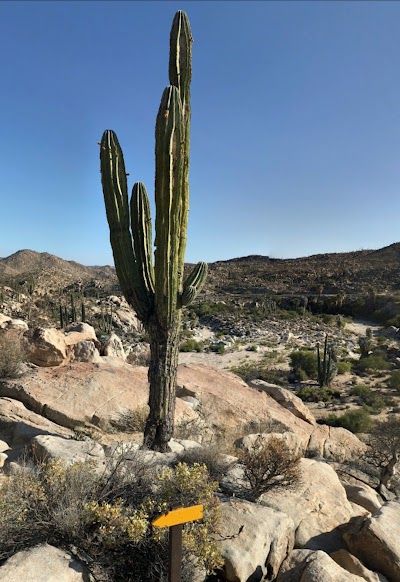 Photos of Bienchilero.com