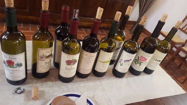 Cà Neuva - Visite in Cantina