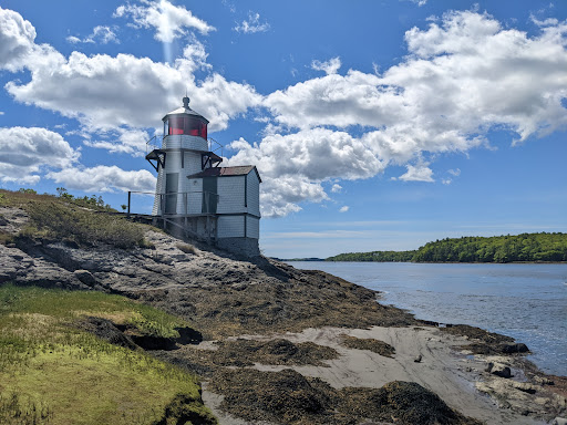 Squirrel Point Light - Visual