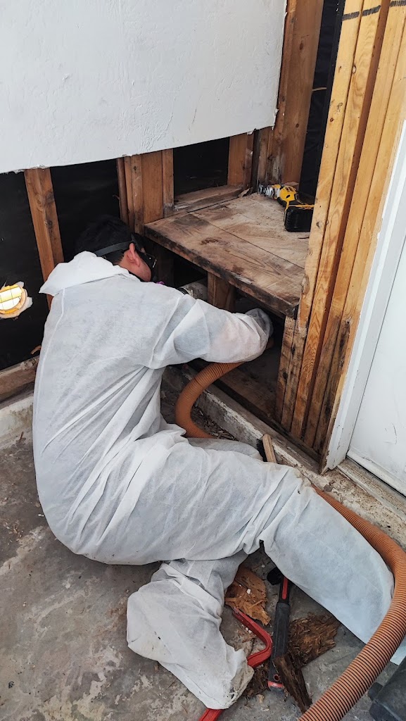 CA RESTORATION LLC photo