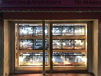 HERMIT-ハーミット- 爬虫類・小動物専門店