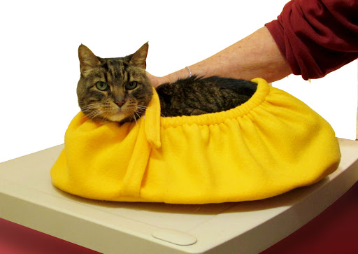 Cat Cozy
