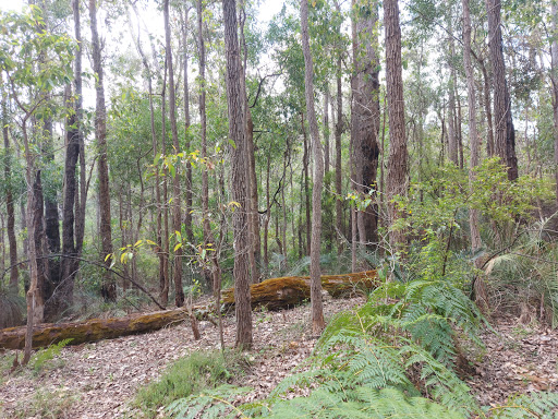 Tony's Bend Campground - Thumbnail