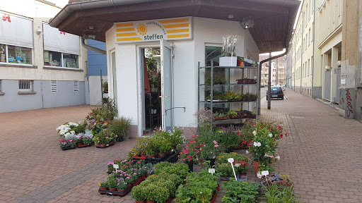 Blumenpavillon Steffen