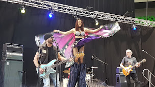 Photo n°2 de BFC Conseil - Agence artistique à Vandoncourt (Agence artistique)