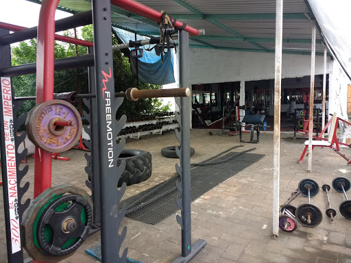 The gym 300 - Thumbnail