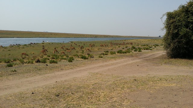 Ihaha Camp