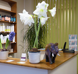 Photo n°1 de coiffure fleurs de vie à Rouen (Salon de coiffure)