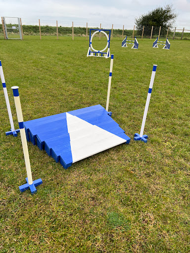 Pegasus Paddock - Visual