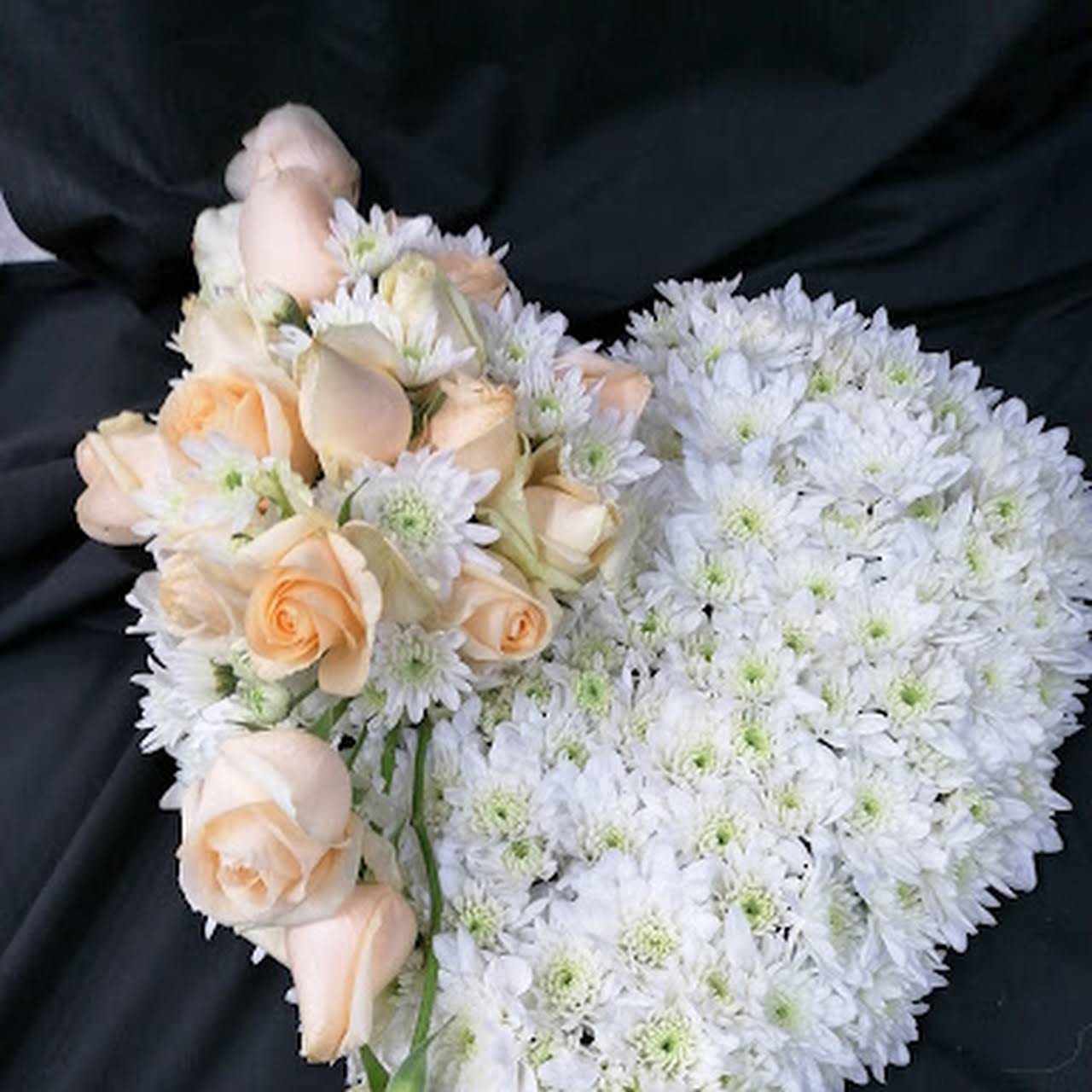 Flowers Montana Pretoria Best Flower Site