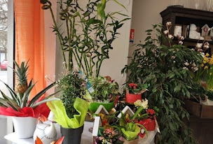 Photo n°16 de Ode aux Fleurs à Arques (Fleuriste)
