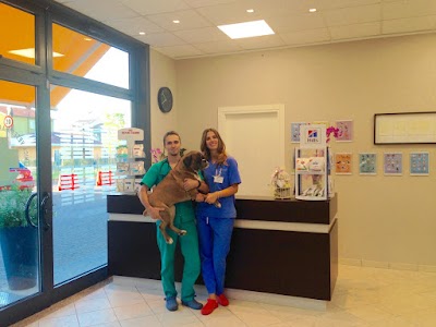 veterinary-care