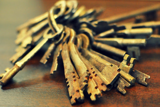 Pro Locksmith Plus - Visual