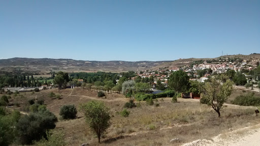 Parque Forestal El Pinar - Thumbnail