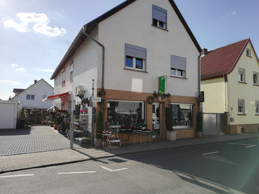 Blumen-Wirth - Visual