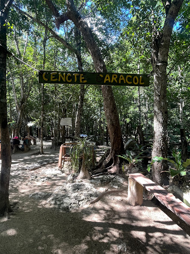 Cenote Caracol - Thumbnail