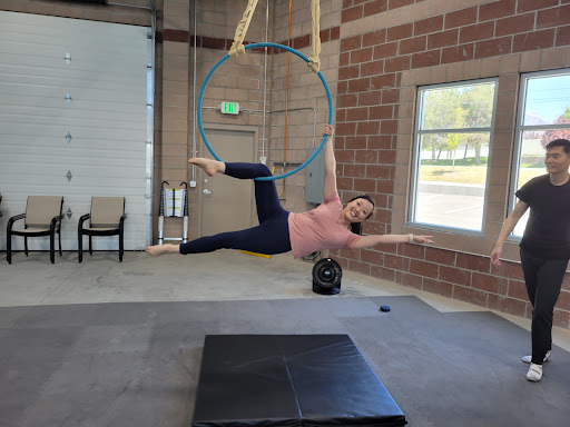Skyfall Aerial Arts Studio, LLC - Thumbnail
