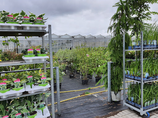 P.S. Horticulture GmbH - Thumbnail