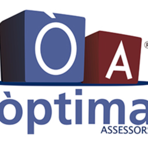 Òptima assessors - Visual
