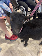 Chez les p'tites bêtes à Ytres