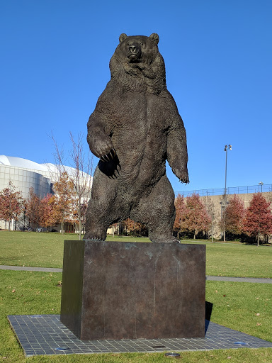 Erickson Athletic Complex - Visual