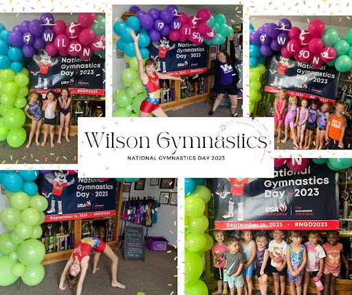 Wilson School-Gymnastics-Dance - Thumbnail