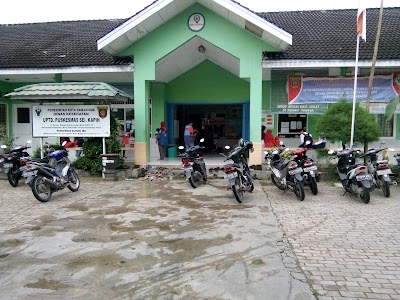 Photos of DANIEL JAYA TRAVEL