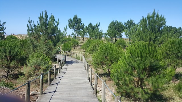 Praia do Cabedelo