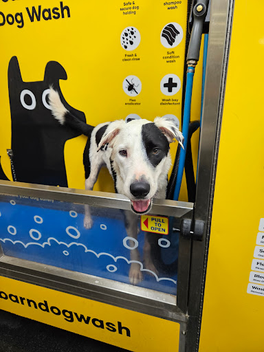 Petbarn Bundaberg - Thumbnail