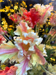 Photo n°15 de Flora Magnifica à Paris (Fleuriste)