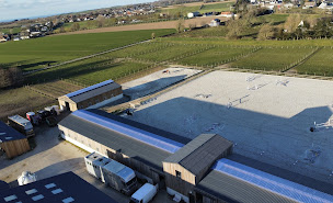 Photo n°18 de Les écuries Anquetin à Octeville-sur-Mer (Club)