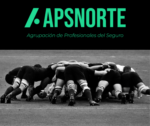 APSNORTE Agrupación de Profesionales del Seguro - Thumbnail