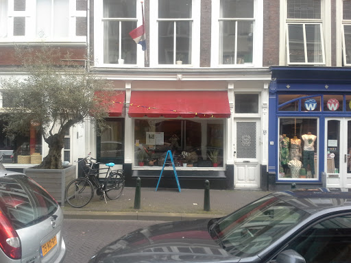 site_photo3