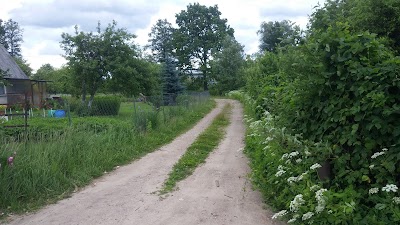 Photos of Дачный кооператив EZITIS