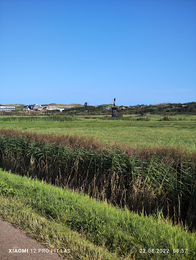 Callantsoog, Zwanenwater - Thumbnail