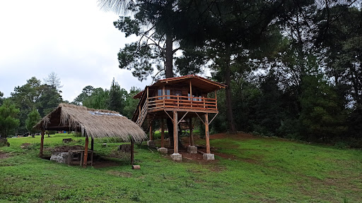 Cabañas. Posada De Tecolotes