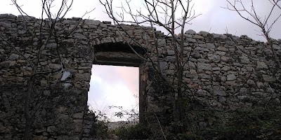 Photos of Old Sinies