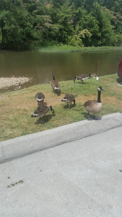 Photos of Pigeon River Inn