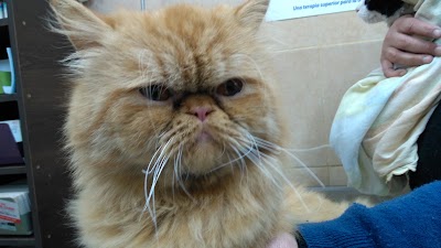Photos of Veterinaria Misha