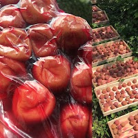 古民家酒房 菜音