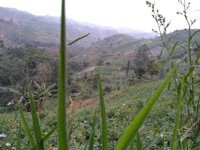 Photos of Lembah Panyaweuyan