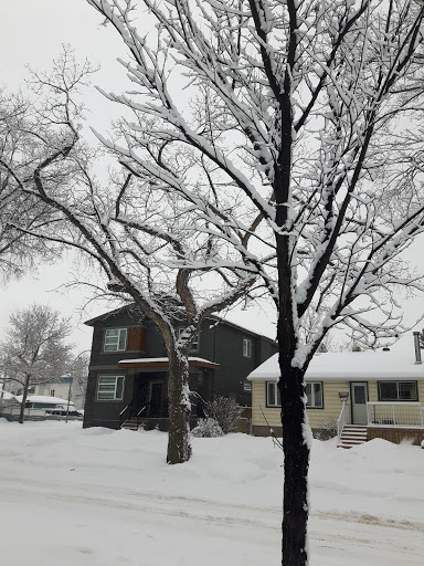 Laurelwood - Visual