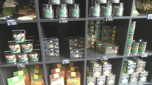 Cannabis Store Amsterdam Biella - Thumbnail