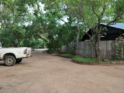 photo of M'phingwe Camp