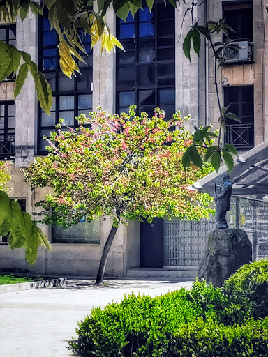 Plaza de Pequeñeces - Thumbnail