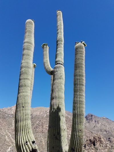 Photos of Sabino Canyon