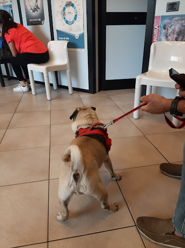 Ambulatorio Veterinario Dott. Marco Vacca Gallery - Italy