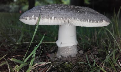 Photos of Falster City Camping